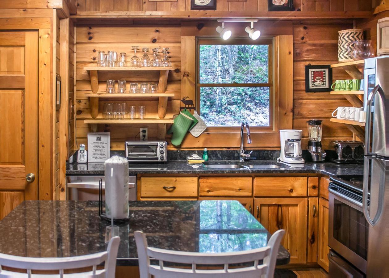 Mountain Music #19 Villa Sevierville Luaran gambar